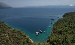 Muğla'nın doğasını korumak için bugüne kadar 288 dava açıldı