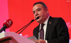 Muhittin Böcek'in mal varlığına el konuldu