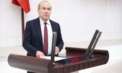 Namık Tan: 'AKP'nin Varlık Barışı'na sarılmasının nedeni çaresizlik'