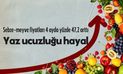 Sebze-meyve fiyatları 4 ayda yüzde 56,6 arttı... Ekonomist Prof. Dr. Uysal: 'Gıdada geleneksel yaz  ucuzluğu başka yazlara kalacak'