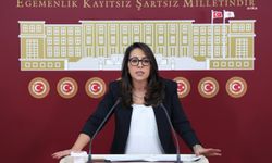 Sera Kadıgil, Uşak'taki Sevgi Evleri'ne ilişkin iddiaları Meclis gündemine taşıdı