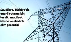 Suudilere, Türkiye'de enerji yatırımı için teşvik, muafiyet, istisna ve elektrik alım garantisi