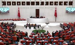 TBMM Genel Kurulu... CHP'li Genç: Türkiye'de her gün yaklaşık 284 ruhsatsız silah ele geçiriliyor