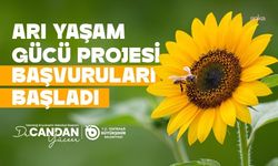 Tekirdağ Büyükşehir Belediyesi'nin Arı Yaşam Gücü Projesi'ne başvurular başladı