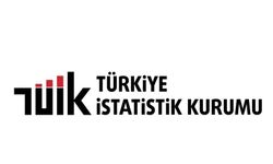 TÜİK: Bakım sorumluluğu olanların işgücüne katılma oranı yüzde 60,5