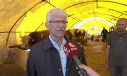 Türk Veteriner Hekimleri Birliği Başkanı Eroğlu'ndan kurbanlık uyarısı: Küpesiz ve pasaportsuz hayvan alınmamalı