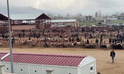 Van'da hayvan pazarında Kurban Bayramı öncesi durgunluk yaşanıyor