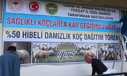 Yozgat'ta 60 besiciye 120 koç dağıtıldı