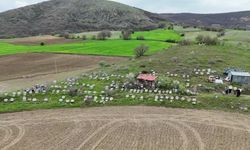 Yozgat'ta arıcılar verimli bir sezon bekliyor