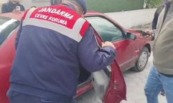 Yozgat'ta yolda bulunan yavru maymun koruma altına alındı