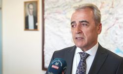 ABB, ilaçlama mesaisini gece de sürdürüyor... Başkent, iki ayda 4 bin 210 kez ilaçlandı