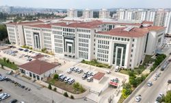 Adana'da suç örgütlerine yönelik operasyonlarda 79 kişi gözaltına alındı