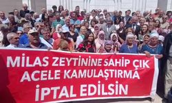 Akbelen eylemcisi Esra Işık'ın yargılandığı dava 6 Temmuz'a ertelendi