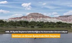 Ankara Büyükşehir Belediyesi'nin ilaçlama seferberliği devam ediyor