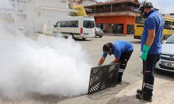 Antalya'da vektörle mücadele 19 ilçede yoğun bir şekilde sürdürülüyor