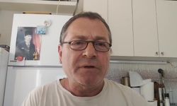 Arhavi Pilarget Havzası'ndaki DSİ'nin ıslah çalışmasına yöre halkından tepki: 'Derede yüzlerce balık telef oldu'