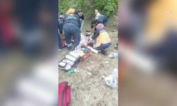 Arhavi'de serinlemek içi gölete giren iki imam hayatını kayetti