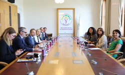 Avrupa Birliği heyeti, DEM Parti'yi TBMM'de ziyaret etti