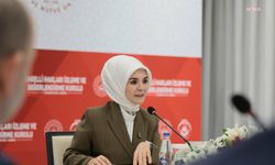 Bakan Göktaş: Engellilik alanında iki yeni alt çalışma grubu oluşturduk