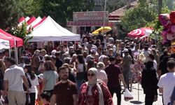 Bornova'da kiraz bereketi festivale dönüştü