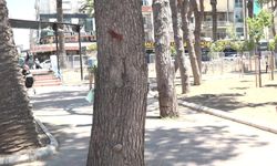 Buca Şirinyer Parkı eski günlerine kavuşuyor