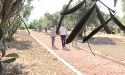 Buca'ya yeni kent parkı... Aliberti Köşkü kent parkına dönüşüyor