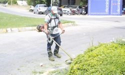 Burhaniye Belediyesi ekipleri, kent genelinde bakım onarım çalışmalarını sürdürüyor
