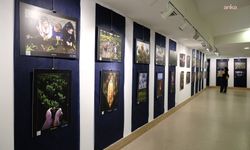 Büyükçekmece'nin tarımsal hafızası, fotoğraf kareleriyle anlatılıyor