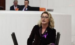 CHP'li Asu Kaya, Olukbaşı Yaylası'ndaki yıkımları Meclis gündemine taşıdı