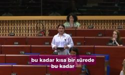 CHP'li Gökçen: 'Kadınların adalete erişimi, Avrupa'nın karşılaştığı en acil sorunlardan biri'