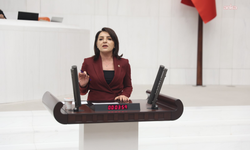 CHP'li Kış: 'Türkiye büyüdü dediler ama büyüyen işçinin maaşı değil, yandaşların serveti oldu'
