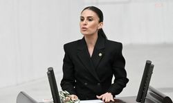 CHP'li Özcan, Marmaris'te deprem ve yapı güvenliği nedeniyle kapanan okulları Meclis gündemine taşıdı