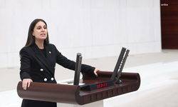 CHP'li Özcan'dan, Muğla'da kamulaştırmaya tepki: 'Maden faaliyetlerinin sürdürülmesi gerekçesiyle bölgenin geleceği oldubittiye getirilemez'