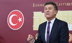 CHP'li Sarıbal: Orman ve kırsal alan yangınlarına karşı önleyici müdahale ve etkili mücadele mümkündür