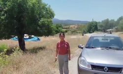 Danıştay'ın yürütmeyi durdurma kararına rağmen Akbelen'de çalışma başlatıldığı belirtildi