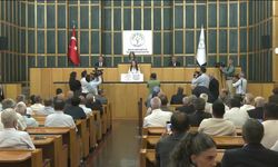 DEM Parti Grup Toplantısı.... Tülay Hatimoğulları: 'Çerçeve yasa Meclis'in bu yasama dönemi kapanmadan gelmelidir'