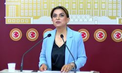 DEM Partili Koçyiğit: 'Meclis'in de barış mesaisi yapmaya ihtiyacı var'