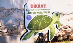 Didim kıyılarında caretta carettaların yuvalama alanları koruma altına alındı