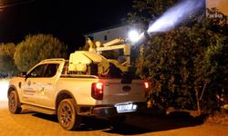 Didim'de ilaçlama çalışmaları aralıksız sürüyor