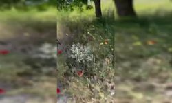 Doruk Madencilik işçilerinin Beypazarı'ndan Ankara'ya gelmelerine izin verilmedi