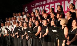 Efeler Belediyesi'nden Pınarbaşı Mesire Alanı'nda yaz konserleri