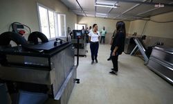 Efes Selçuk'ta atık yemekler mama parkurunda can dostları mama oluyor