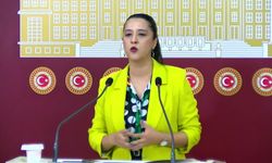 EMEP'li Karaca: 'Kürt sorununun çözümü, sürekli yüksek perdeden vaatler öne sürüp hiçbir adım atmadan gerçekleşemez'