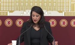 EMEP'li Karaca: 'Türk Ceza Kanunu'nun 217/A maddesi derhal kaldırılmalı'