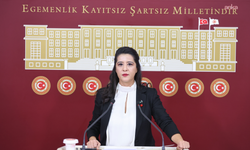 EMEP'li Karaca, üniversite öğrencisi Meliha Keskin cinayetini TBMM gündemine taşıdı