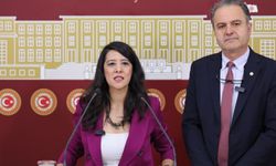 EMEP'li milletvekilleri, Deniz Göktaş'ın 'Ölü Deniz' gösterisine ilişkin iddiaları TBMM gündemine taşıdı