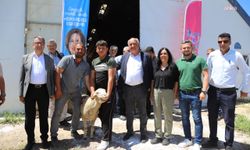 Eskişehir Büyükşehir Belediyesi ağılında yetişen damızlık koçlar sahiplerine teslim edildi