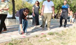 Foça Belediye Başkanı Fıçı, Gencelli ve Yenifoça'da sahil düzenleme çalışmaları için sahadaydı