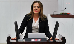 Gamze Akkuş İlgezdi: Otoyol ve köprüler artık vatandaşın cebini yakan birer ceza makinesi haline gelmiştir