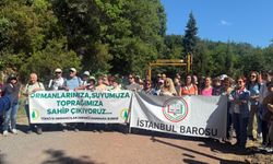 Hukukçular ve ormancılar İstanbul'un akciğerleri için buluştu